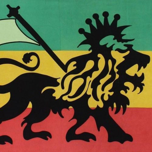 Handmade 100% Cotton Rasta Lion Tapestry Coverlet Bedspread 60x90 Dorm Twin XL - Sweet Us