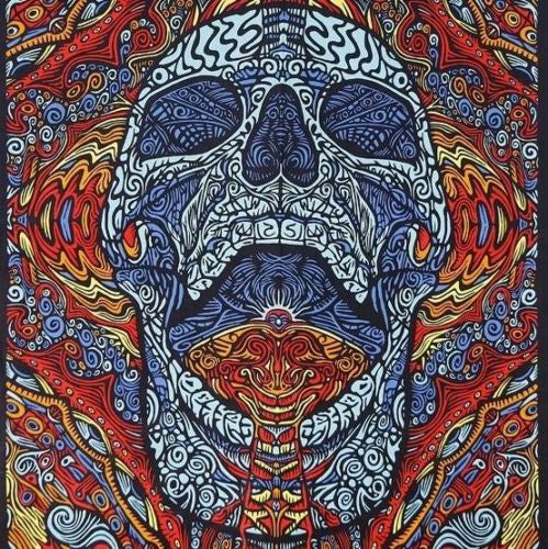 Handmade 100% Cotton 3D Mindful Skull Tapestry Tablecloth Beach Sheet 60x90 Blue - Sweet Us