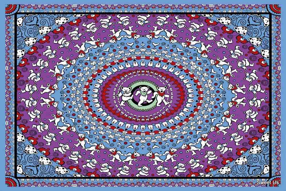 Cotton Grateful Dead Tapestry Wall Hang Classic Dancing Bear 30x45 60x90 inches