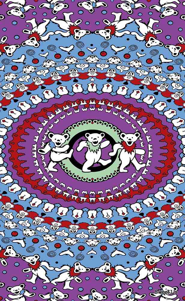 Cotton Grateful Dead Tapestry Wall Hang Classic Dancing Bear 30x45 60x90 inches