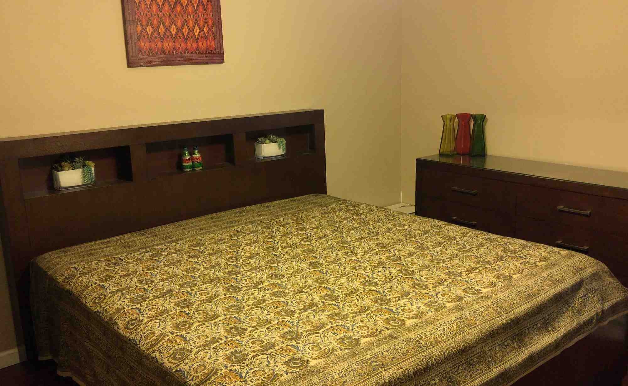 Veggie Dye Hand Block Print Cotton Tapestry Spread Throw 88"x108" Olive Green - Sweet Us